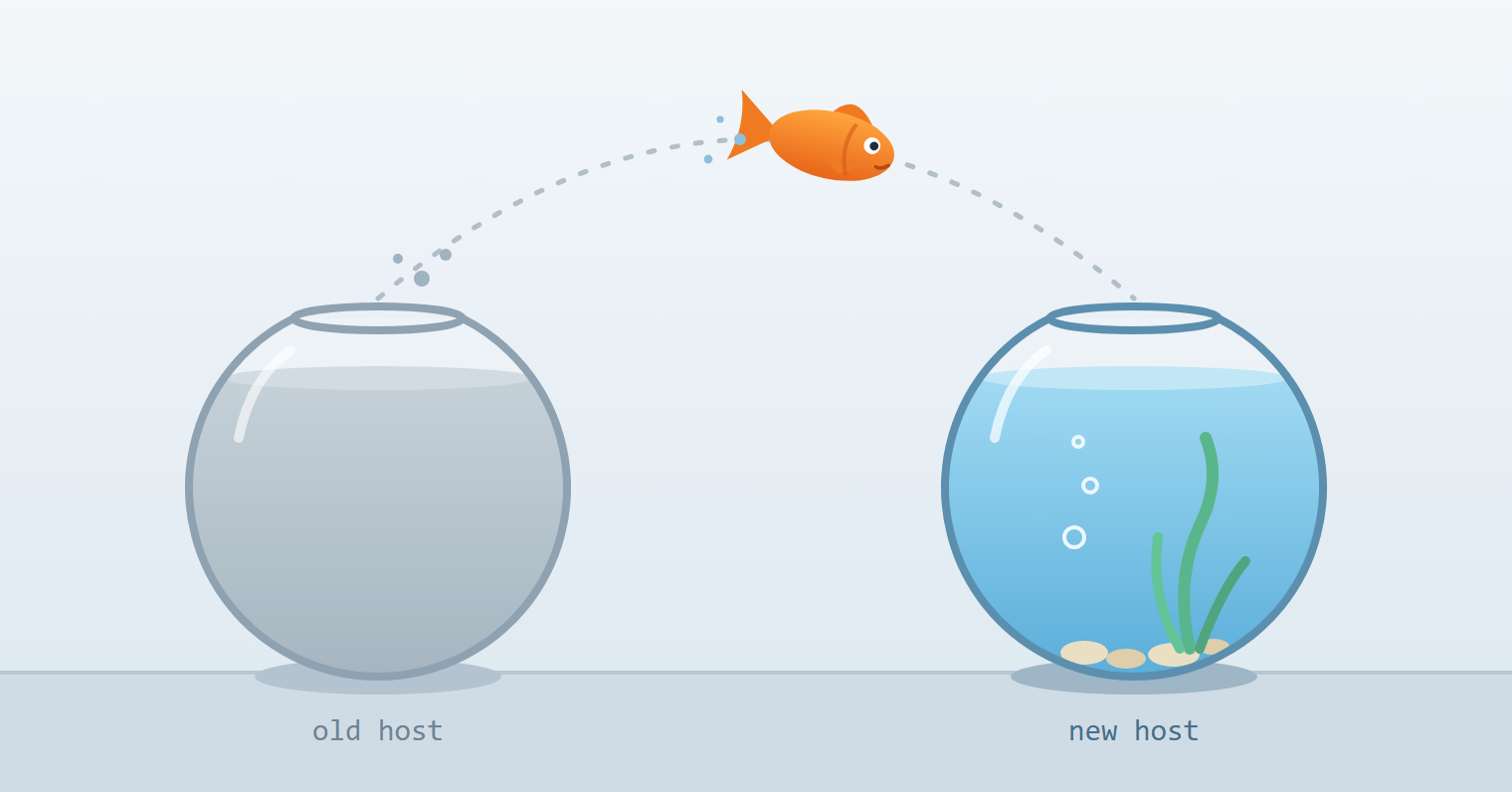 Goldfish jumping from the old host bowl into the new host bowl